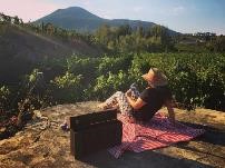 Sorrento Vinsmaking