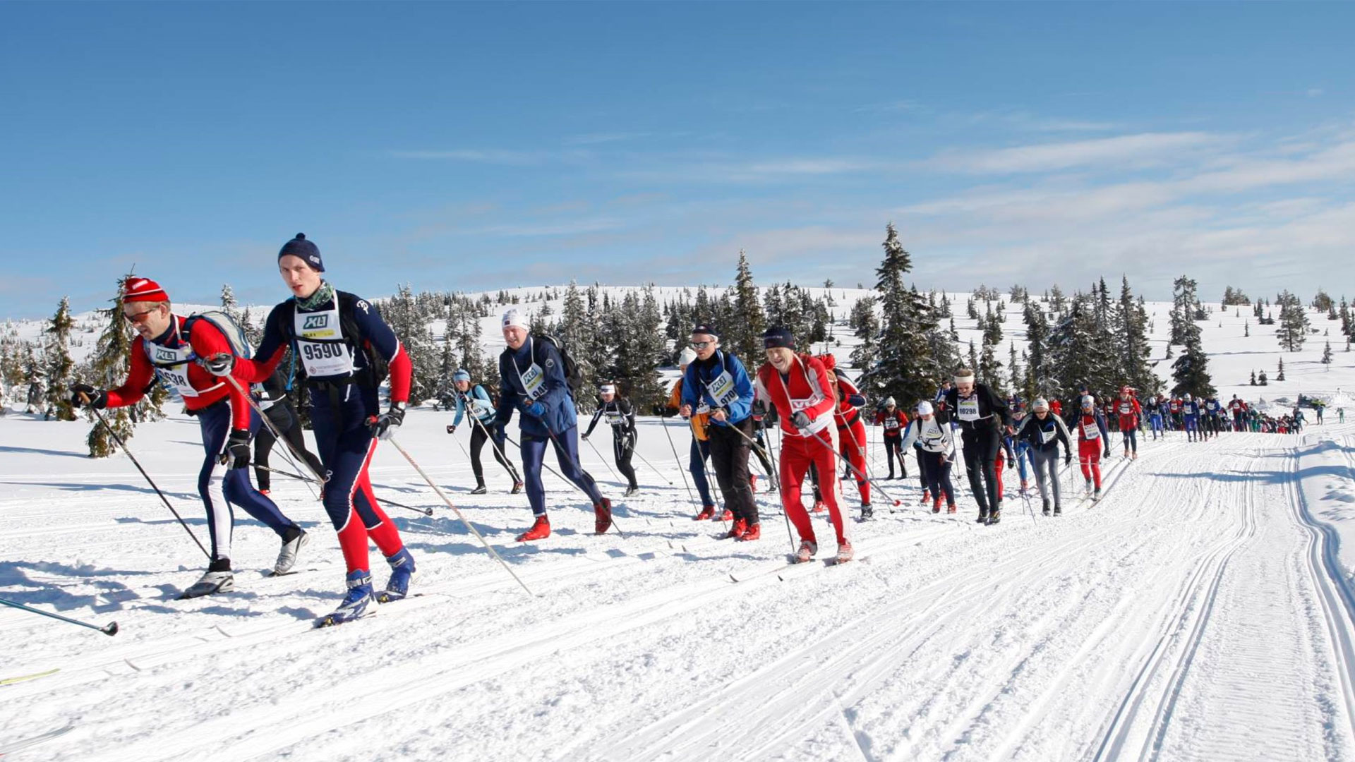 Birkebeinerrennet