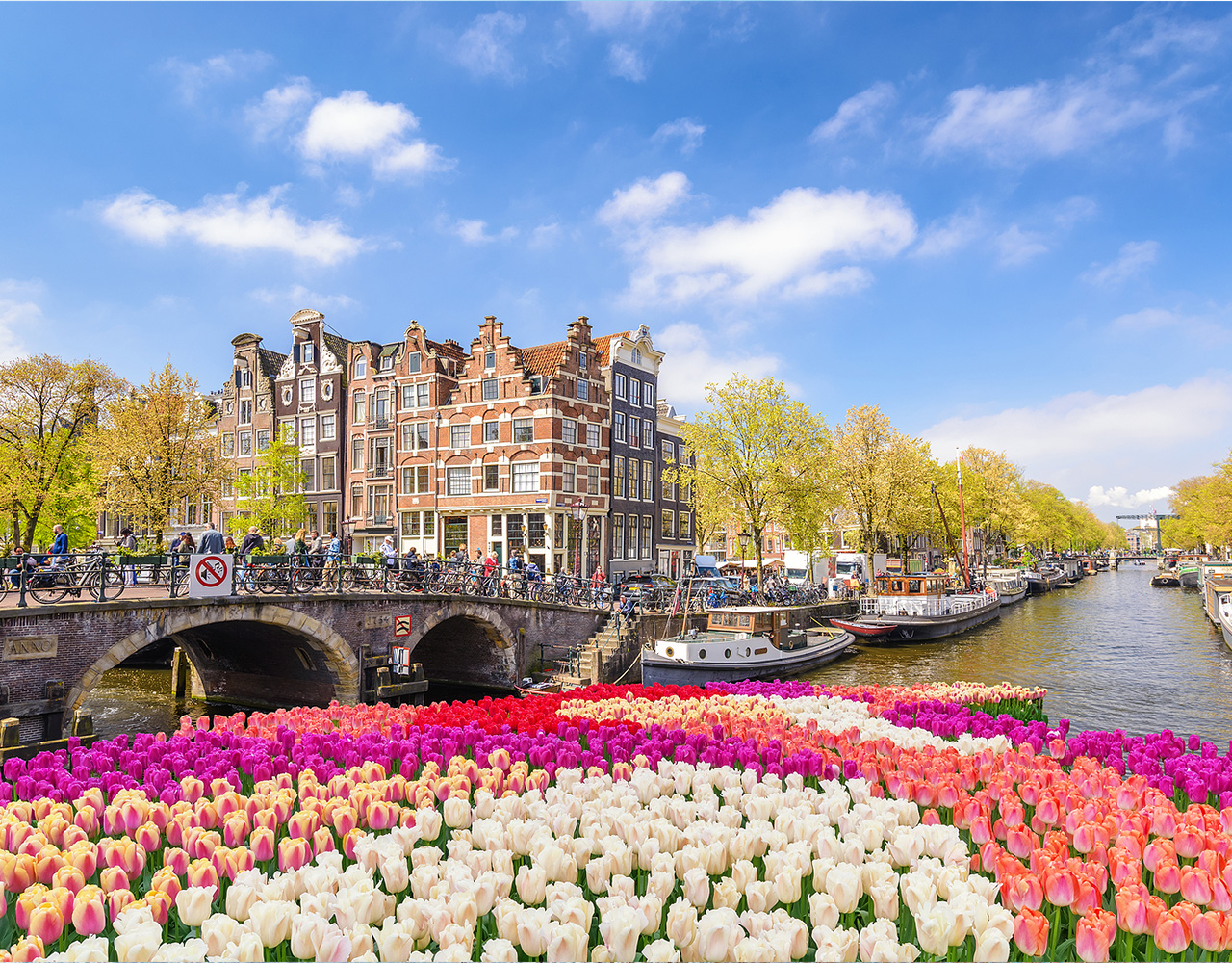 Amsterdam, Tulipaner, Nederland