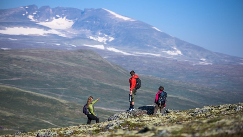 06large-Hiking_Hjerkinn_Dovre-CH_-_VisitNorway.com (1)