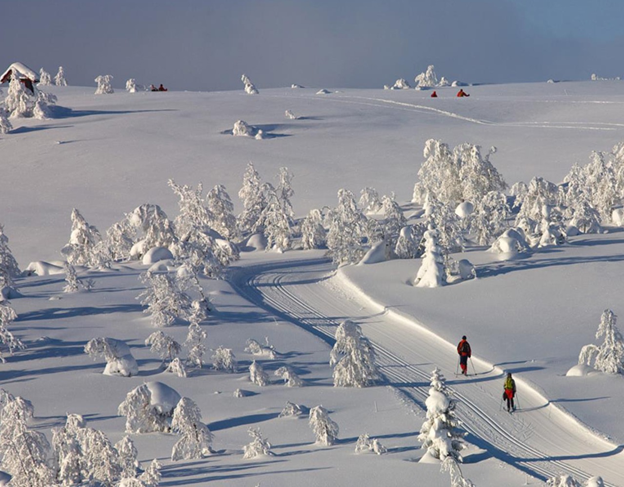 ski beito